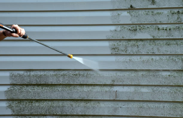 Best Solar Panel Cleaning  in Desoto, TX